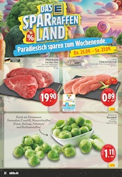 Aktueller EDEKA Prospekt mit Schnitzel, "Aktuelle Angebote", Seite 22