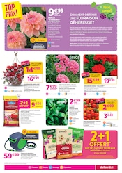 Tomate en promo dans le catalogue Delbard à la page 3