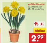 Aktuelles gefüllte Narzisse Angebot bei Netto Marken-Discount in Bielefeld ab 2,99 €