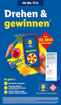 Bekleidung im Lidl Prospekt "LIDL LOHNT SICH" mit 73 Seiten (Potsdam)