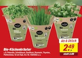 Aktuelles Bio-Küchenkräuter Angebot bei toom Baumarkt in Mannheim ab 2,49 €