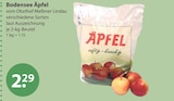 Bodensee Äpfel im aktuellen V-Markt Prospekt für 2,29 €