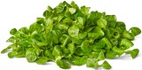 Aktuelles Feldsalat Angebot bei Penny in Leverkusen ab 0,99 €