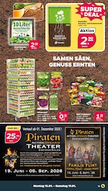 Aktueller Netto mit dem Scottie Prospekt mit Saatgut, "Günstig. Besser. Für Dich.", Seite 13