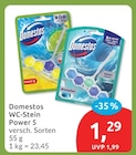 WC-Stein Power 5 im Angebot bei budni in Pinneberg WC-Stein Power 5 Angebote von Domestos bei budni Pinneberg für 1,29 €