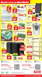 T-Shirt Angebot im aktuellen Thomas Philipps Prospekt auf Seite 19