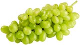 REWE Barth - Helle Tafeltrauben Angebot im Prospekt Helle Tafeltrauben bei REWE im Barth Prospekt für 1,49 €