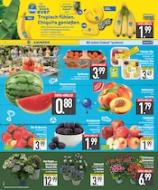 Pflanzen im EDEKA Prospekt in Augsburg Aktueller EDEKA Prospekt mit Pflanzen, "Wir lieben Lebensmittel.", Seite 2