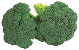 EDEKA Sassenberg - Broccoli Angebot im Prospekt Broccoli bei EDEKA im Sassenberg Prospekt für 1,49 €