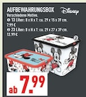 AUFBEWAHRUNGSBOX Angebote von Disney bei Marktkauf Bielefeld für 7,99 €