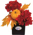 Jardinière de Toussaint au choix - Intermarché Hyper à Pau Jardinière de Toussaint au choix en promo chez Intermarché Hyper Pau à 9,99 €