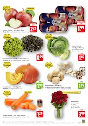 Ähnliche Zitronenbaum Angebote im Prospekt "Aktuelle Angebote" von EDEKA in Pirmasens Ähnliche Angebote wie Zitronenbaum im Prospekt "Aktuelle Angebote" auf Seite 3 von EDEKA in Pirmasens