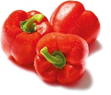 Paprika rot bei Netto mit dem Scottie im Eberswalde Prospekt für 1,79 €