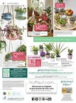 Plantes Plantes