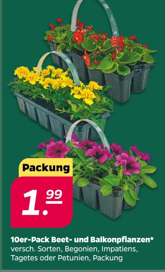 10er-Pack Beet- und Balkonpflanzen