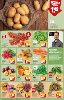 Kürbis im aktuellen REWE Prospekt (Köln) Kürbis im REWE Prospekt "Dein Markt" mit 32 Seiten (Köln)