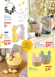 Aktueller Lidl Prospekt mit Lichterkette, "Ostern gemeinsam genießen", Seite 7