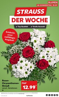 Pflanzen im Kaufland Prospekt "Hier bin ich richtig" mit 60 Seiten (Kiel)
