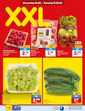 Zucchini im Netto Marken-Discount Prospekt in Karlsruhe Aktueller Netto Marken-Discount Prospekt mit Zucchini, "Aktuelle Angebote", Seite 3