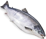 Aktuelles Lachs Angebot bei METRO in Wuppertal ab 11,22 €