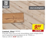 Laminat Pinie im Angebot bei toom Baumarkt in Gütersloh Laminat Pinie Angebote bei toom Baumarkt Gütersloh für 19,88 €