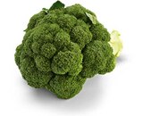 Brokkoli von  im aktuellen Netto Marken-Discount Prospekt für 1,79 €