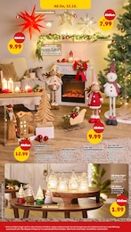 Weihnachtsstern im Penny Prospekt Weihnachtsstern im Penny Prospekt "Wer günstig will, muss Penny." auf Seite 20