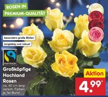 Großköpfige Hochland Rosen im Netto Marken-Discount Prospekt Großköpfige Hochland Rosen von im aktuellen Netto Marken-Discount Prospekt für 4,99 €