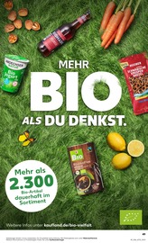 Aktueller Kaufland Prospekt mit Joghurt, "KNÜLLER", Seite 6