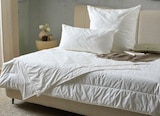 Aktuelle Kopfkissen Angebote bei XXXLutz in Stuttgart Aktuelles Ganzjahresbett Angebot bei XXXLutz in Stuttgart ab 29,99 €