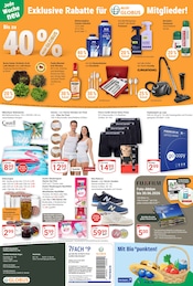 Aktueller GLOBUS Prospekt mit Druckerpapier, "Aktuelle Angebote", Seite 25