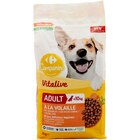 Croquettes pour chien - CARREFOUR COMPANINO VITALIVE en promo chez Carrefour Colmar à 3,89 €
