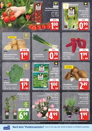 Pfanne Angebot & Preis im aktuellen EDEKA Prospekt Pfanne Angebot im aktuellen EDEKA Prospekt auf Seite 2