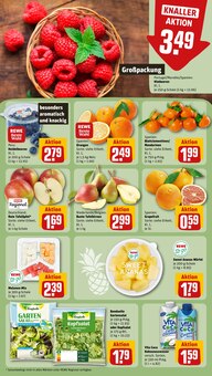 Äpfel im REWE Prospekt "Dein Markt" mit 16 Seiten (Fürth)