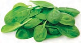 Italienische Salate im Sortiment für 0,79 € bei Netto mit dem Scottie im Angebot Italienische Salate im Sortiment im aktuellen Netto mit dem Scottie Prospekt