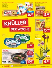 Nudeln im Netto Marken-Discount Prospekt in Brandenburg Aktueller Netto Marken-Discount Prospekt mit Nudeln, "Aktuelle Angebote", Seite 2
