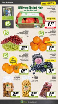 Äpfel im EDEKA Prospekt "Aktuelle Angebote" mit 15 Seiten (Münster)