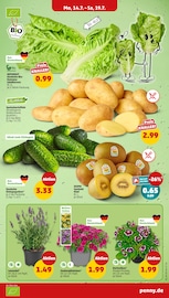 Aktueller Penny Prospekt mit Kiwi, "Wer günstig will, muss Penny.", Seite 3