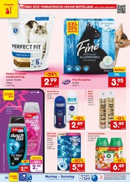 Netto Marken-Discount Katzenstreu im Prospekt 