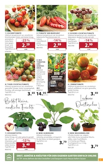 Tomaten im Dehner Garten-Center Prospekt "Aktuelle Angebote" mit 16 Seiten (Duisburg)