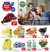 Ähnliche Vittel Angebote im Prospekt "Aktuelle Angebote" von Marktkauf in Lörrach Ähnliche Angebote wie Vittel im Prospekt "Aktuelle Angebote" auf Seite 5 von Marktkauf in Lörrach