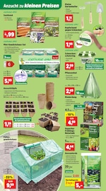 Aktueller Thomas Philipps Prospekt mit Pfanne, "Top Angebote", Seite 3