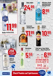 Aktueller Trinkgut Prospekt mit Wodka, "Aktuelle Angebote", Seite 6