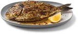 Grill-Dorade-Royal im Netto Marken-Discount Prospekt Grill-Dorade-Royal von im aktuellen Netto Marken-Discount Prospekt für 1,39 €