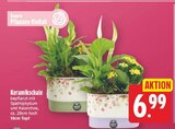Keramikschale für 6,99 € bei E center im Angebot Keramikschale im aktuellen E center Prospekt