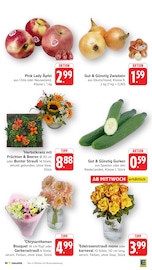 Äpfel im EDEKA Prospekt in Ludwigsburg Aktueller EDEKA Prospekt mit Äpfel, "Aktuelle Angebote", Seite 12