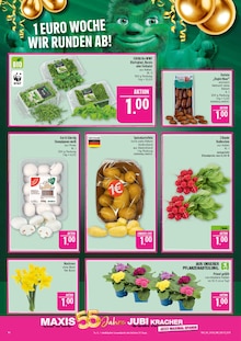 Pflanzen im Marktkauf Prospekt "AUSWAHL RIESIG, PREISE NIEDRIG" mit 40 Seiten (Nürnberg)