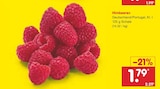 Himbeeren im aktuellen Prospekt bei Netto Marken-Discount in Großkoschen