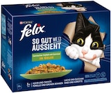 Aktuelles Katzennahrung Angebot bei REWE in Offenbach (Main) ab 3,99 €