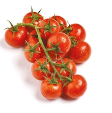 Tomaten von GO Regio im aktuellen NETTO mit dem Scottie Prospekt für 1.49€